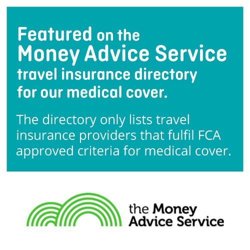 Travel Insurance Companies Covering Pre